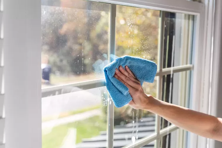 Window Cleaning